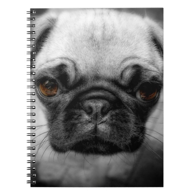 Cuaderno Perrito del barro amasado (Frente)