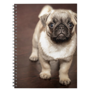 Cuaderno Perrito del barro amasado