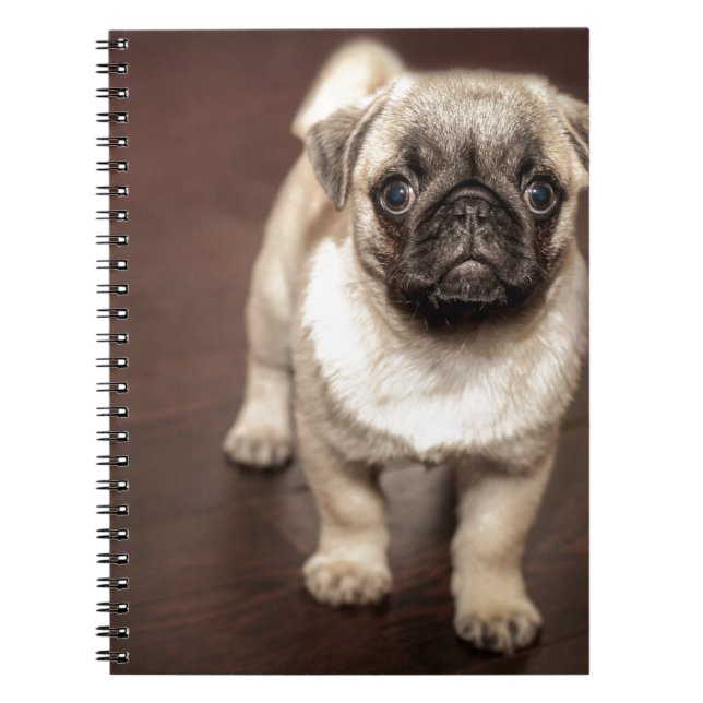 Cuaderno Perrito del barro amasado (Frente)