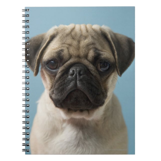 Cuaderno Perrito del barro amasado (Frente)