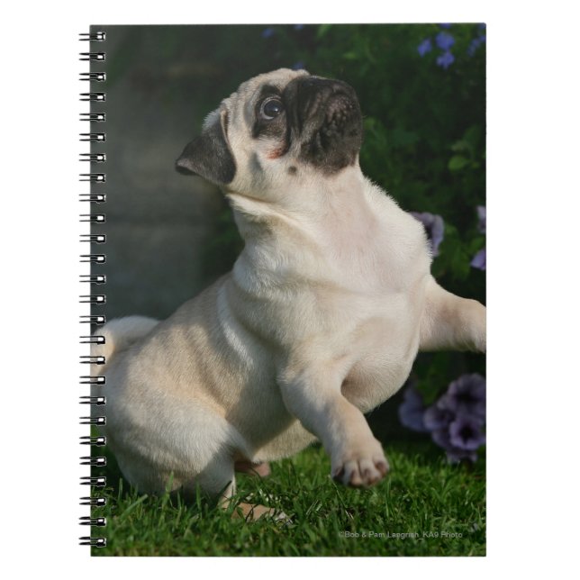 Cuaderno Perrito del barro amasado del cervatillo (Frente)