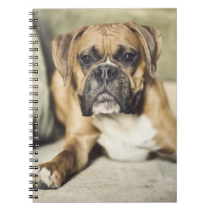Cuaderno Perrito del boxeador del cervatillo