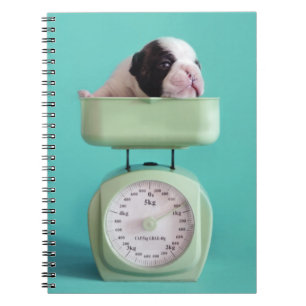 Cuaderno Perrito del bulldog francés