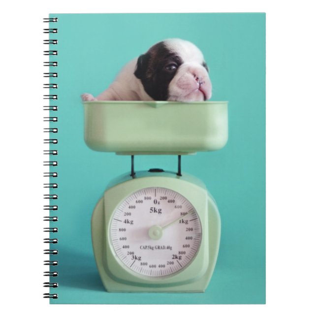 Cuaderno Perrito del bulldog francés (Frente)