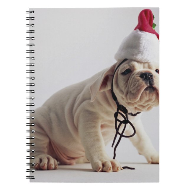 Cuaderno Perrito del bulldog que lleva el gorra de Santa (Frente)