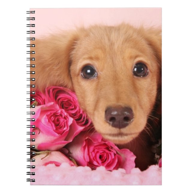 Cuaderno Perrito del Dachshund rodeado por los rosas (Frente)