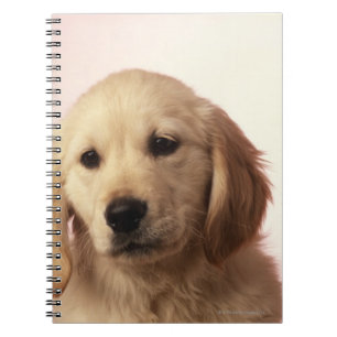 Cuaderno Perrito del golden retriever