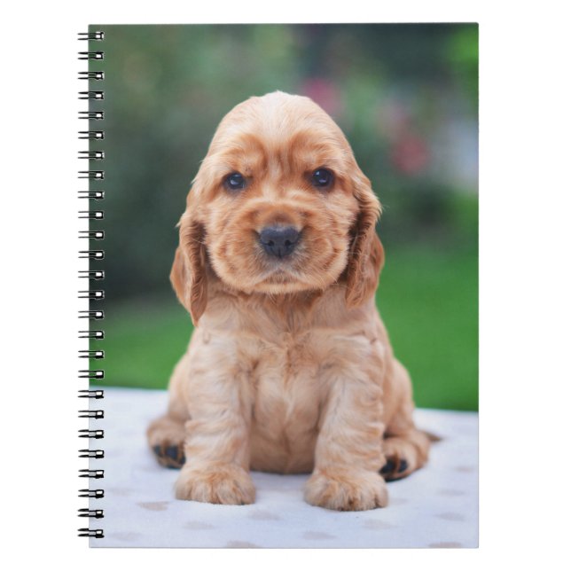 Cuaderno Perrito del perro de aguas de Coker (Frente)