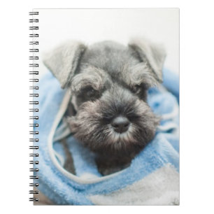 Cuaderno Perrito después del baño