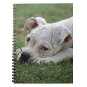 Cuaderno Perrito dulce del boxeador