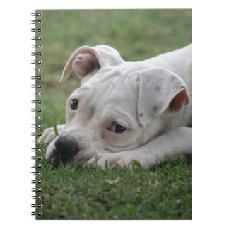 Cuaderno Perrito dulce del boxeador