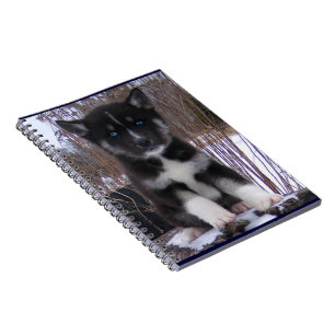 Cuaderno Perrito fornido