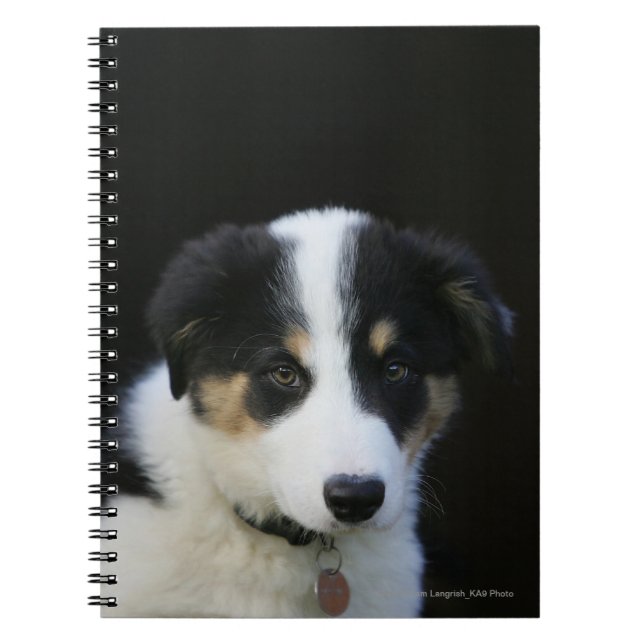 Cuaderno Perrito viejo del border collie de 12 semanas (Frente)