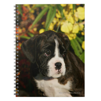 Cuaderno Perritos del boxeador