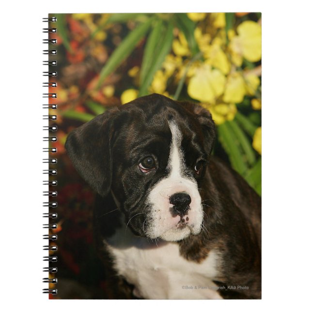 Cuaderno Perritos del boxeador (Frente)