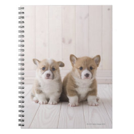 Cuaderno Perritos del Corgi Galés