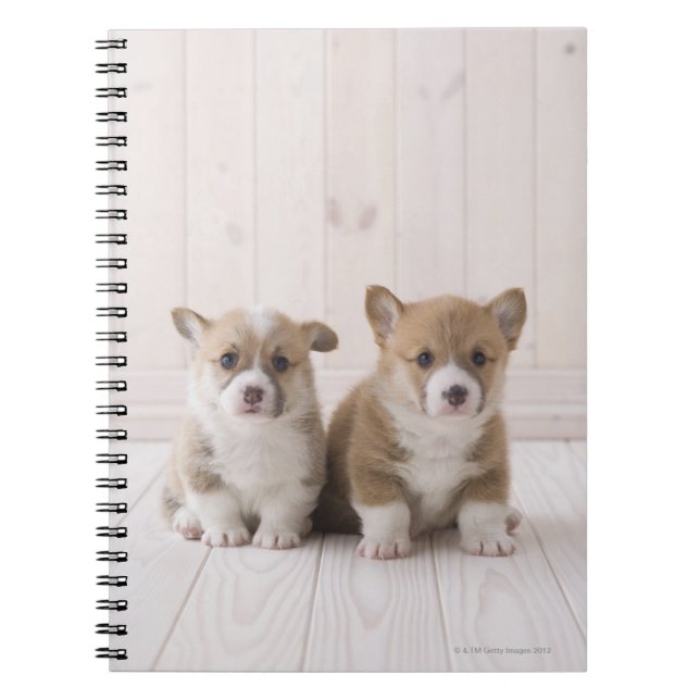 Cuaderno Perritos del Corgi Galés (Frente)