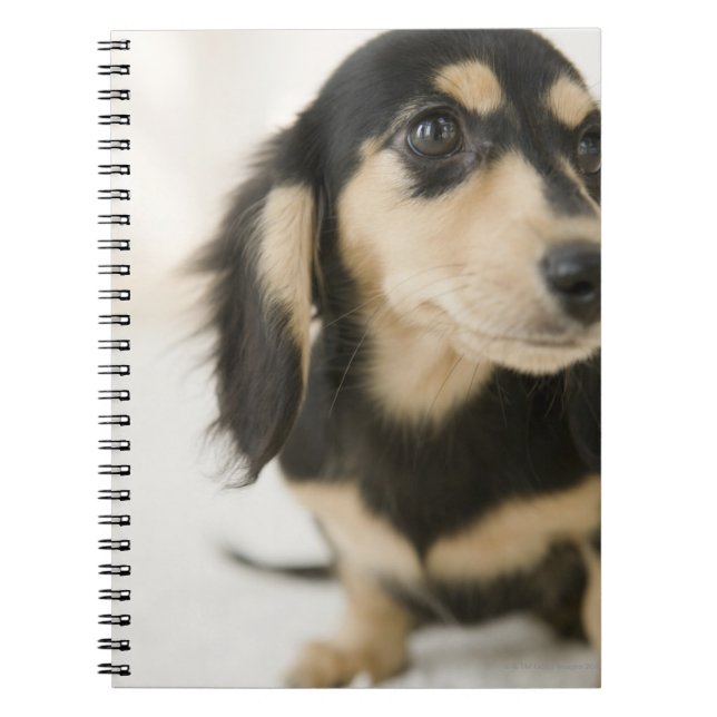 Cuaderno Perro (Frente)