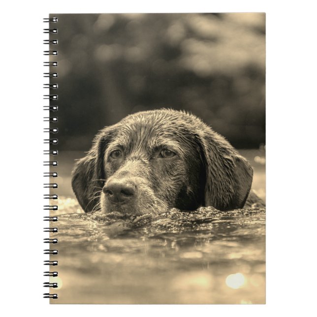Cuaderno Perro (Frente)