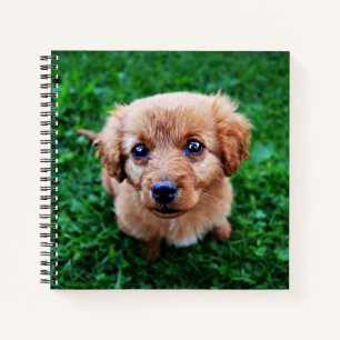 Cuaderno Perro adorable en foto de jardín