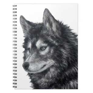 Cuaderno Perro Balto