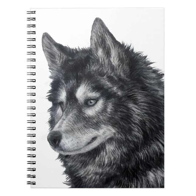 Cuaderno Perro Balto (Frente)