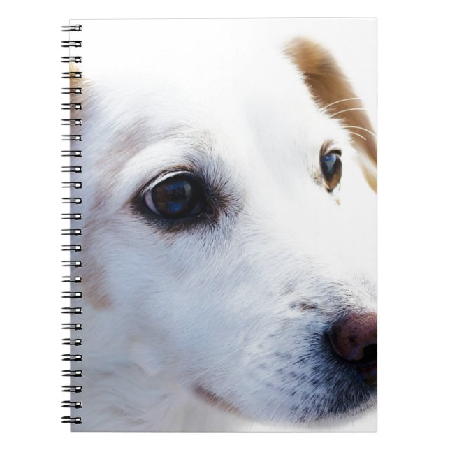 Cuaderno Perro blanco con ojos fieles, Mascotas animales pe (Frente)