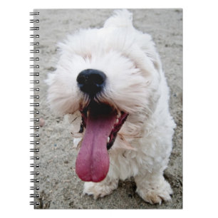 Cuaderno Perro blanco del perrito feliz, malteese,