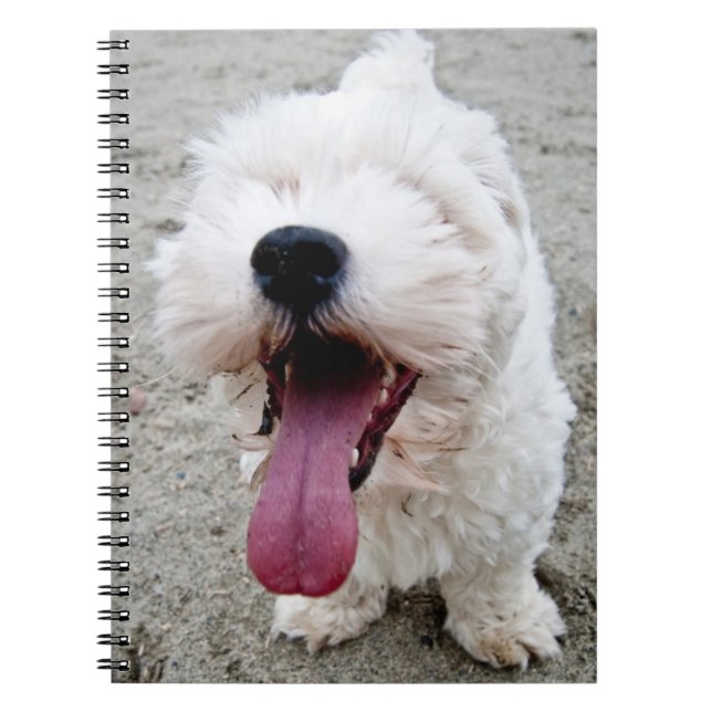 Cuaderno Perro blanco del perrito feliz, malteese, (Frente)