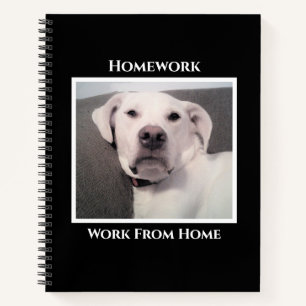 Cuaderno Perro Blanco Divertido Enfadado Tareas Negras