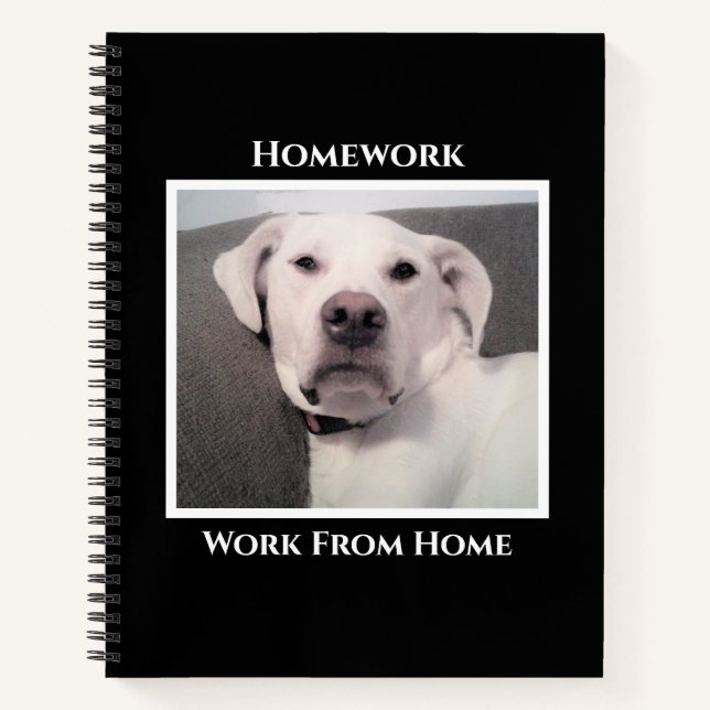 Cuaderno Perro Blanco Divertido Enfadado Tareas Negras (Anverso)