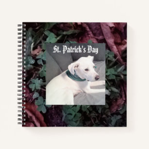 Cuaderno Perro blanco lindo con rocas de escarcha verde