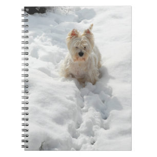 Cuaderno Perro blanco occidental en el diario de la novela