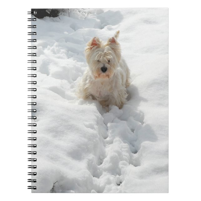 Cuaderno Perro blanco occidental en el diario de la novela (Frente)