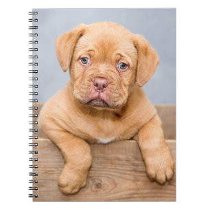 Cuaderno Perro cachorro de burdeos