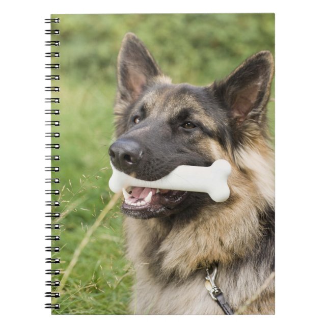 Cuaderno Perro con hueso (Frente)