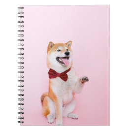 Cuaderno Perro Con Un Lazo