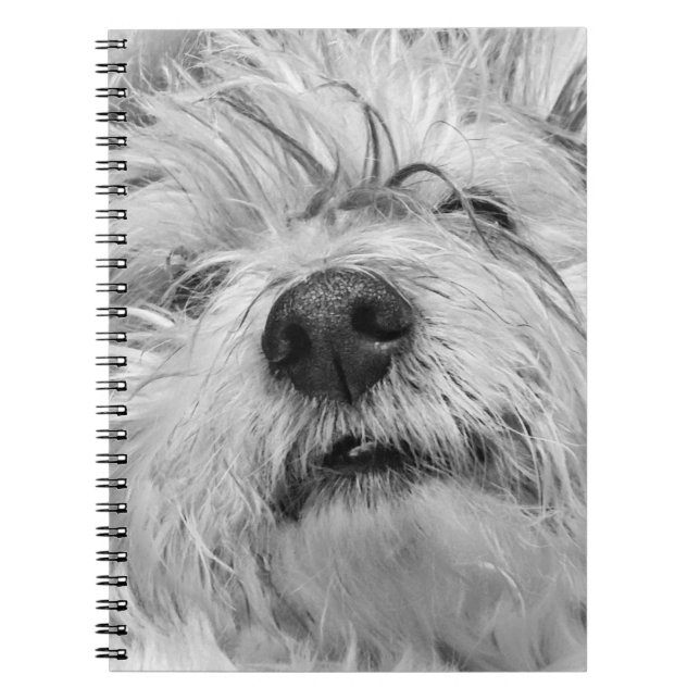 Cuaderno Perro Coton de Tulear (Frente)
