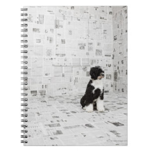 Cuaderno Perro de agua portugués en el sitio cubierto