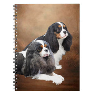 Cuaderno Perro de aguas de rey Charles arrogante