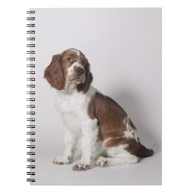 Cuaderno Perro de aguas de saltador (Frente)