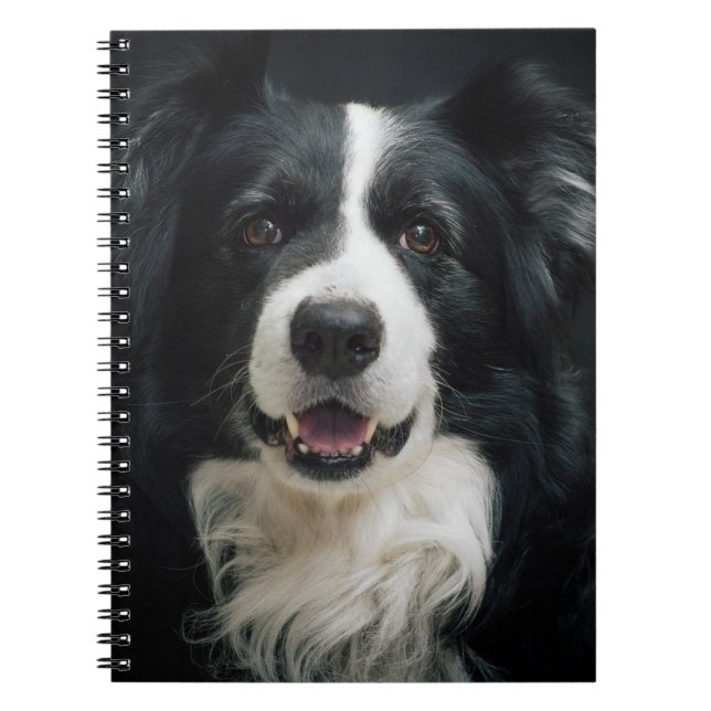 Cuaderno Perro de bonito (Frente)