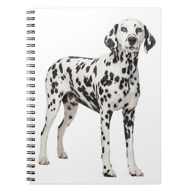 Cuaderno Perro de cachorros dálmatas - Perro de fuego visto (Frente)