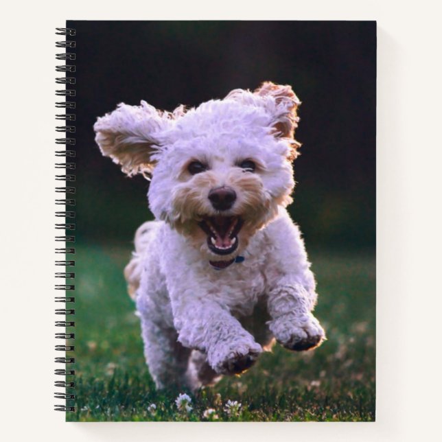 Cuaderno Perro de cangrejo blanco (Anverso)