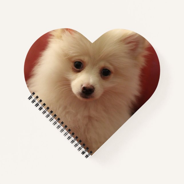 Cuaderno Perro de Cute Pomerania (Anverso)