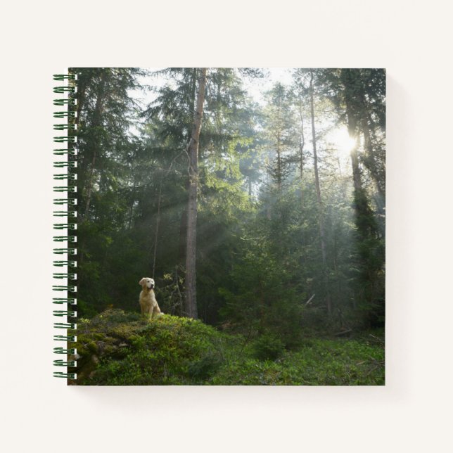 Cuaderno Perro de Golden Retriever | Pine Woodland (Anverso)