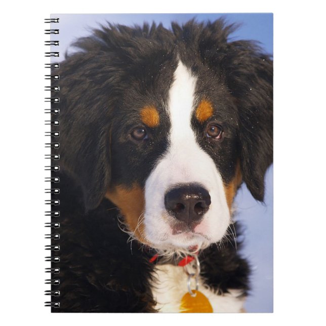 Cuaderno Perro de montaña de Bermese (Frente)