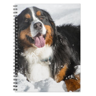 Cuaderno Perro de montaña de Bernese feliz en nieve del