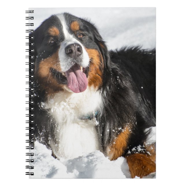 Cuaderno Perro de montaña de Bernese feliz en nieve del (Frente)