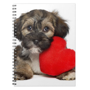 Cuaderno Perro de perrito de Havanese de la tarjeta del dí